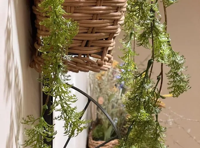 A Casa Dos Cancelos- Rural Vilagarcia de Arousa