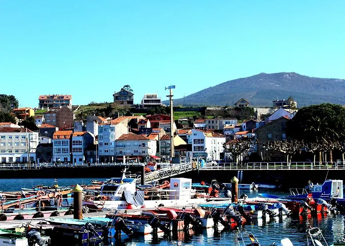 A Casa Dos Cancelos- Rural Kır Evi